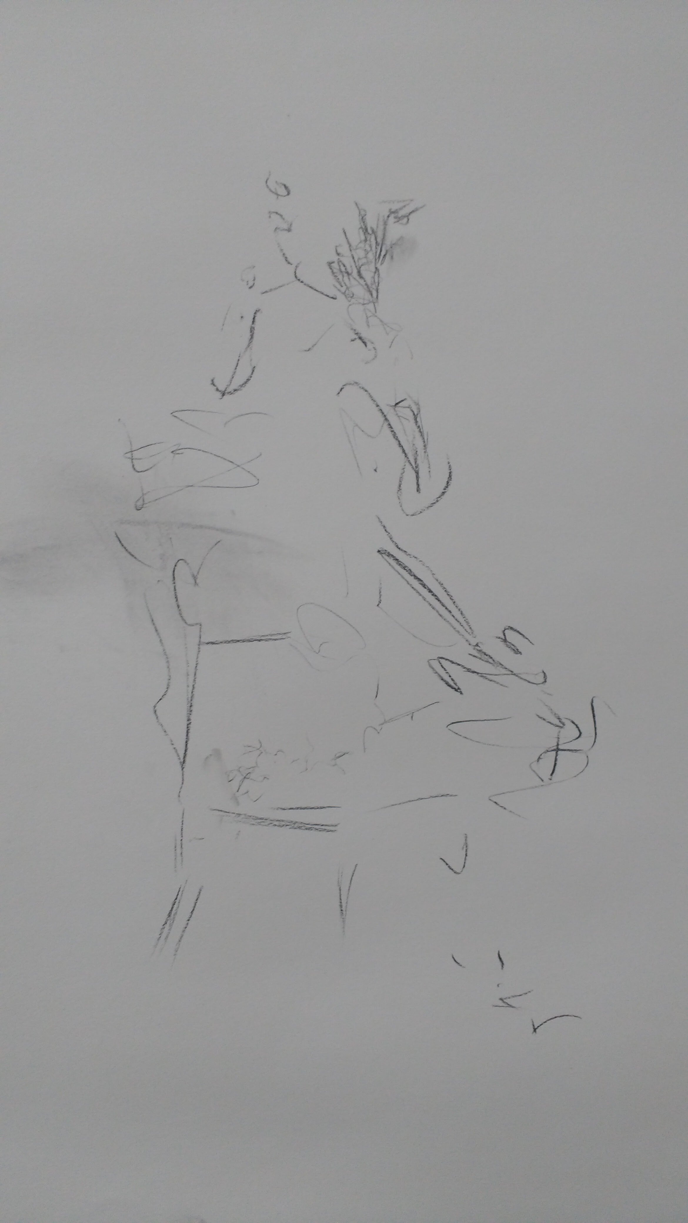Kite Arner figure drawing gesture.jpg