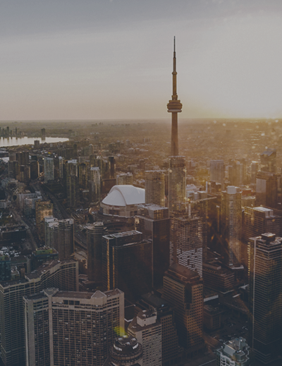 State/Local Government