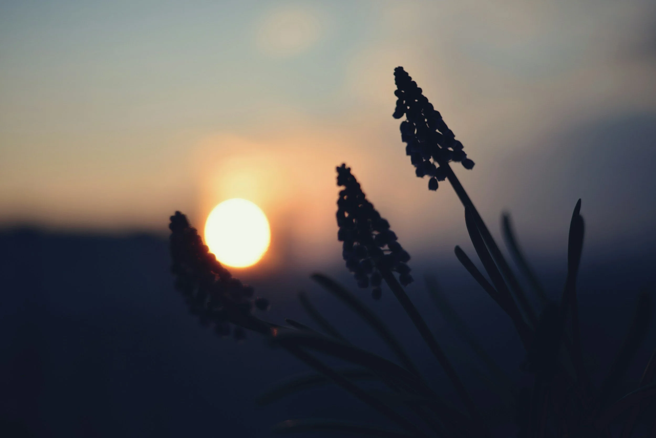 The Spring Silent Intensive