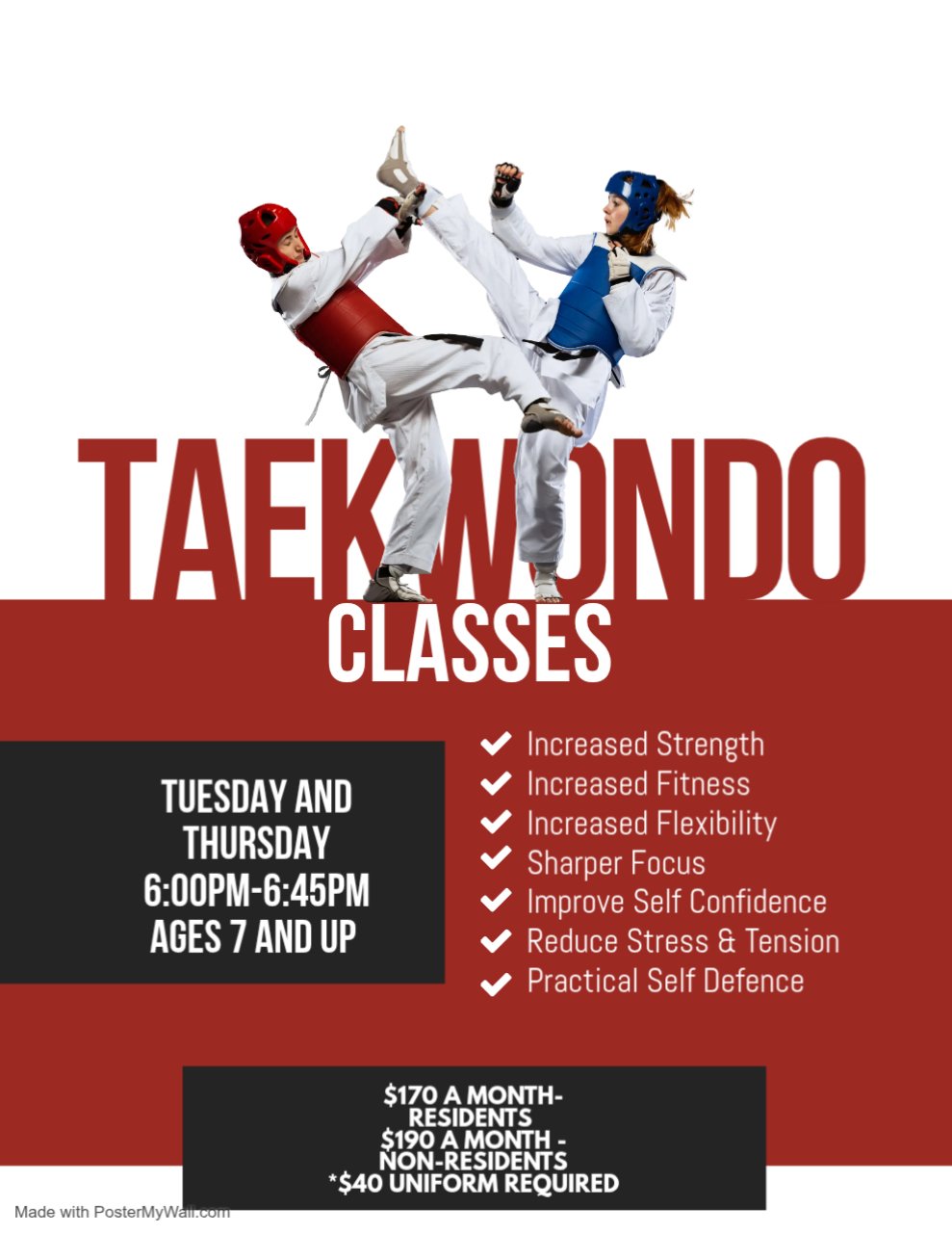 Taekwando Classes Poster Template - Made with PosterMyWall.jpg