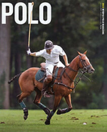 Polo.jpg