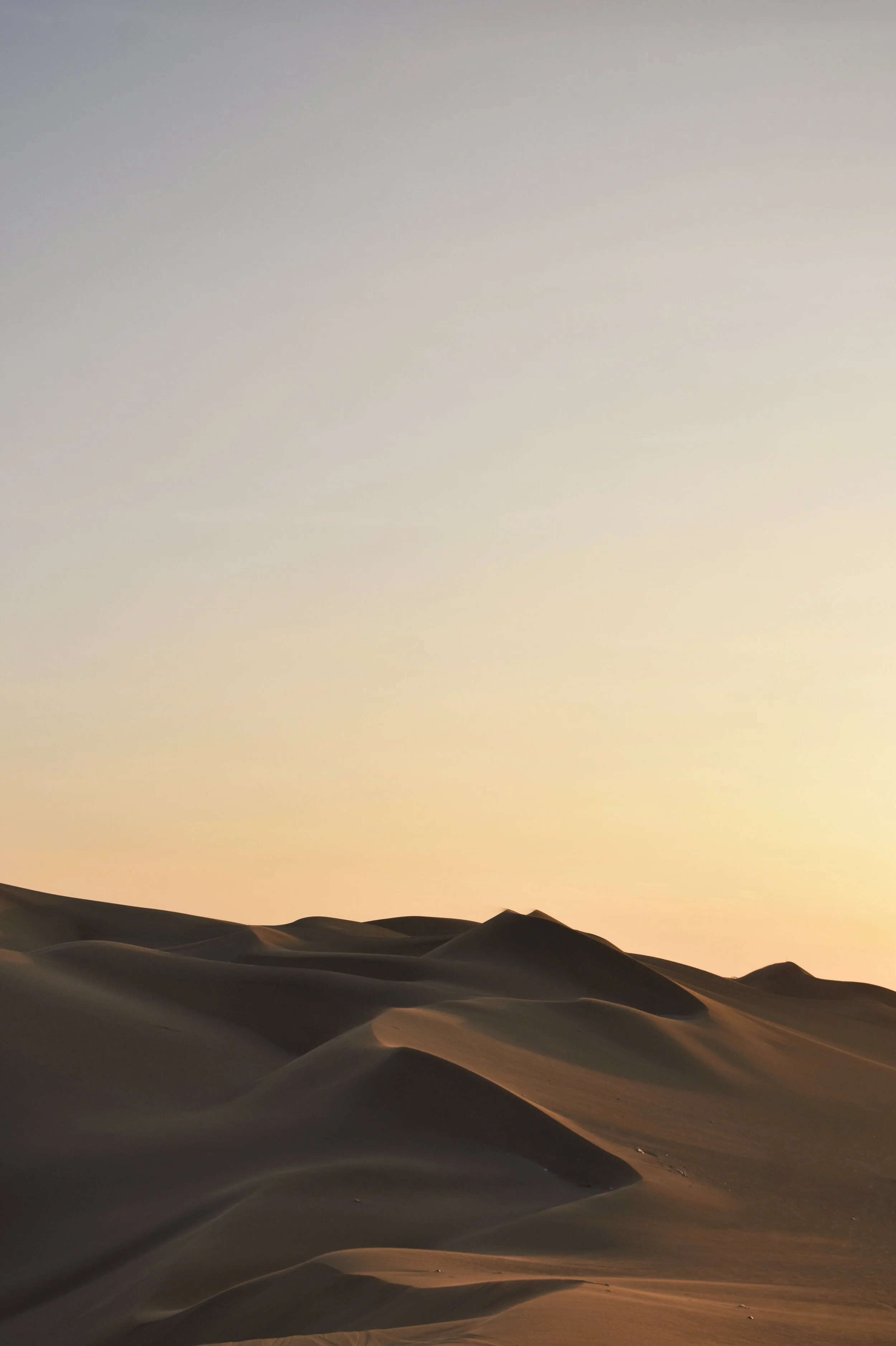 BCB49CD3-C42C-43F6-92AF-777DA5230005-BF59846D-5385-49B8-ADD7-9BBB577B68BC 2.JPG