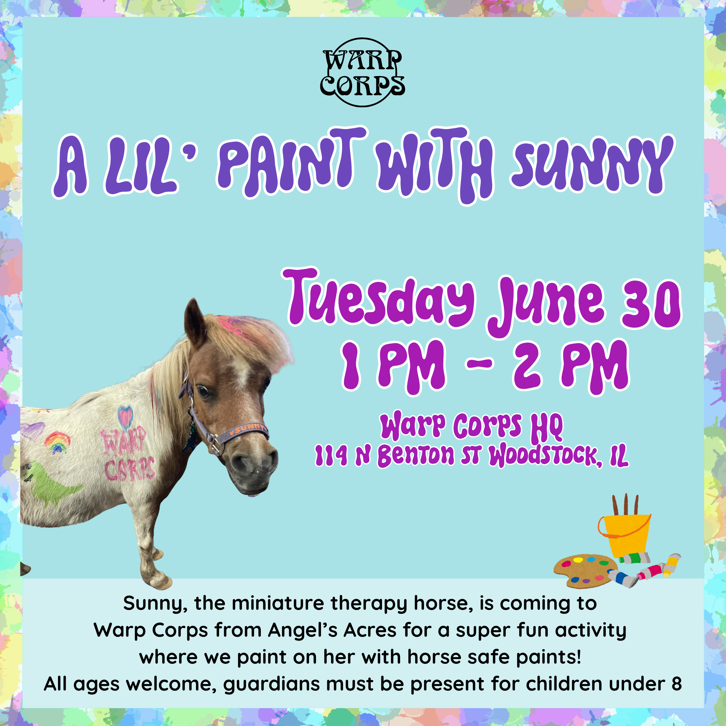 Meet Sunny The Miniature Horse