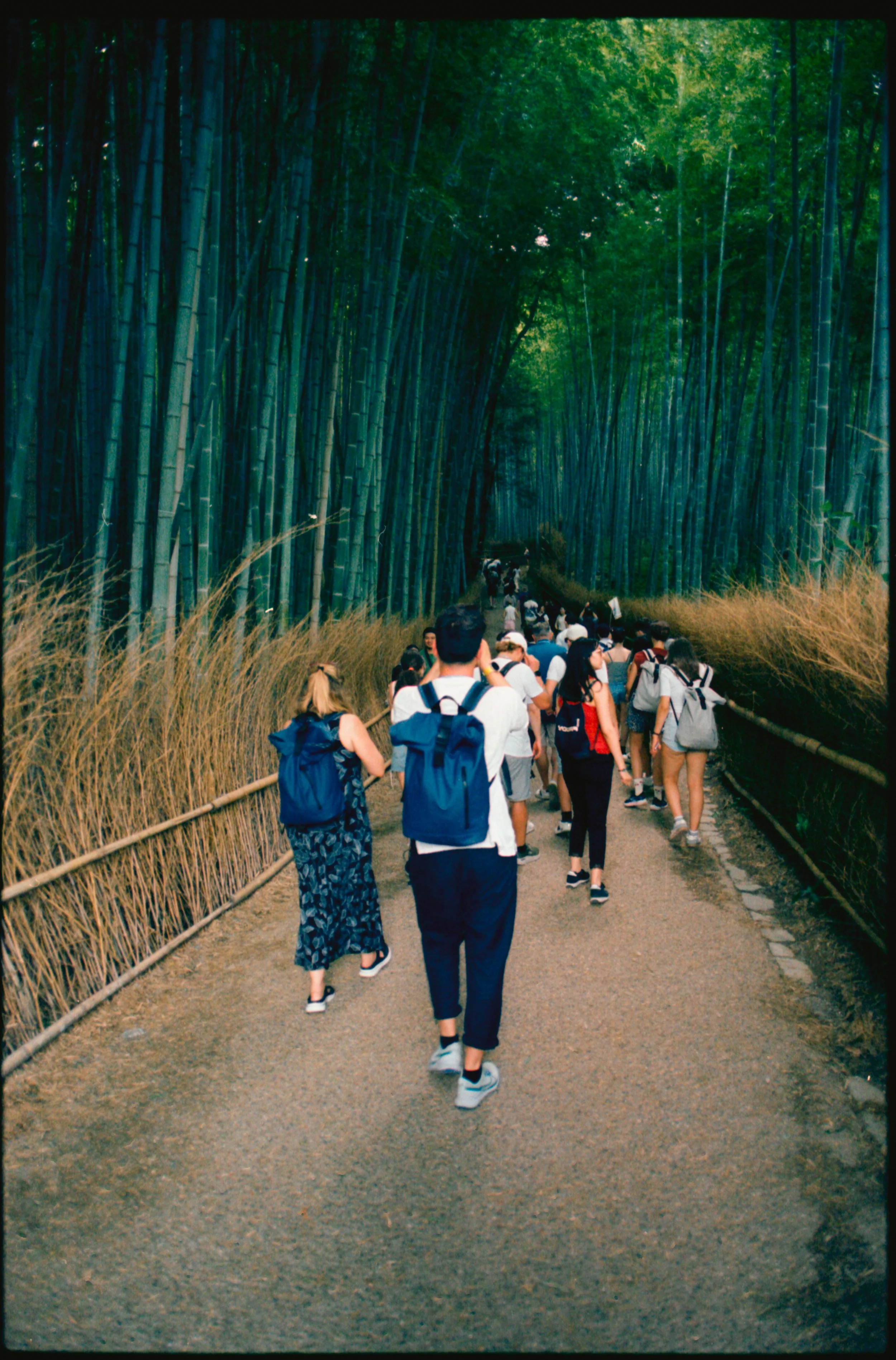 Japan July 2025-68.jpg