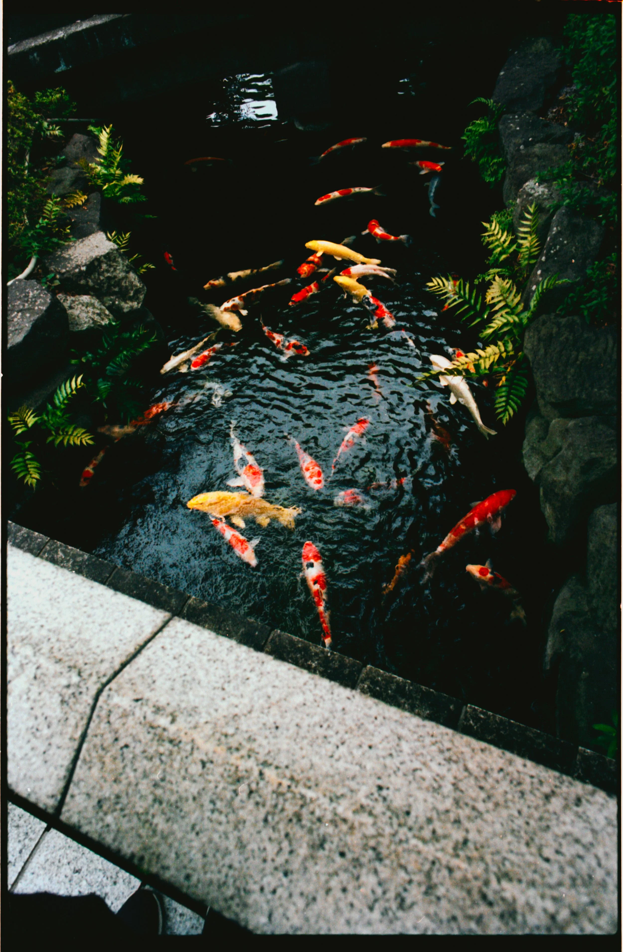 Japan July 2025-5.jpg