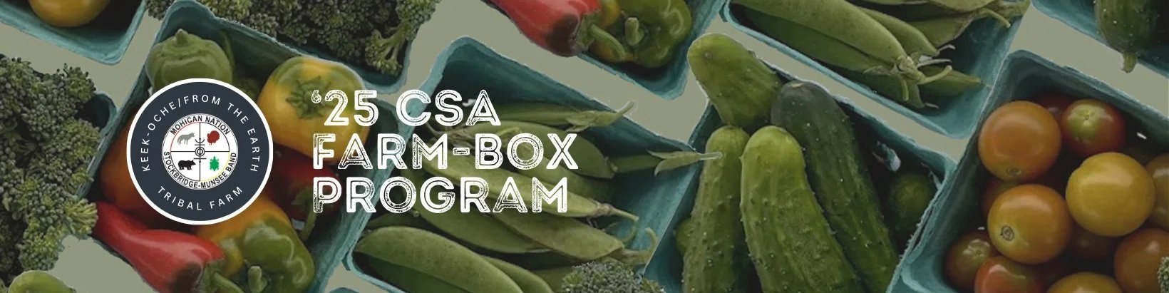 Csa Example Box Winter Csa Box