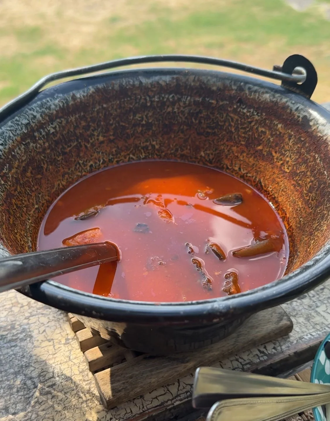 The 45 Minute Fish Paprikash