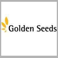 Golden-Seeds-2.jpg