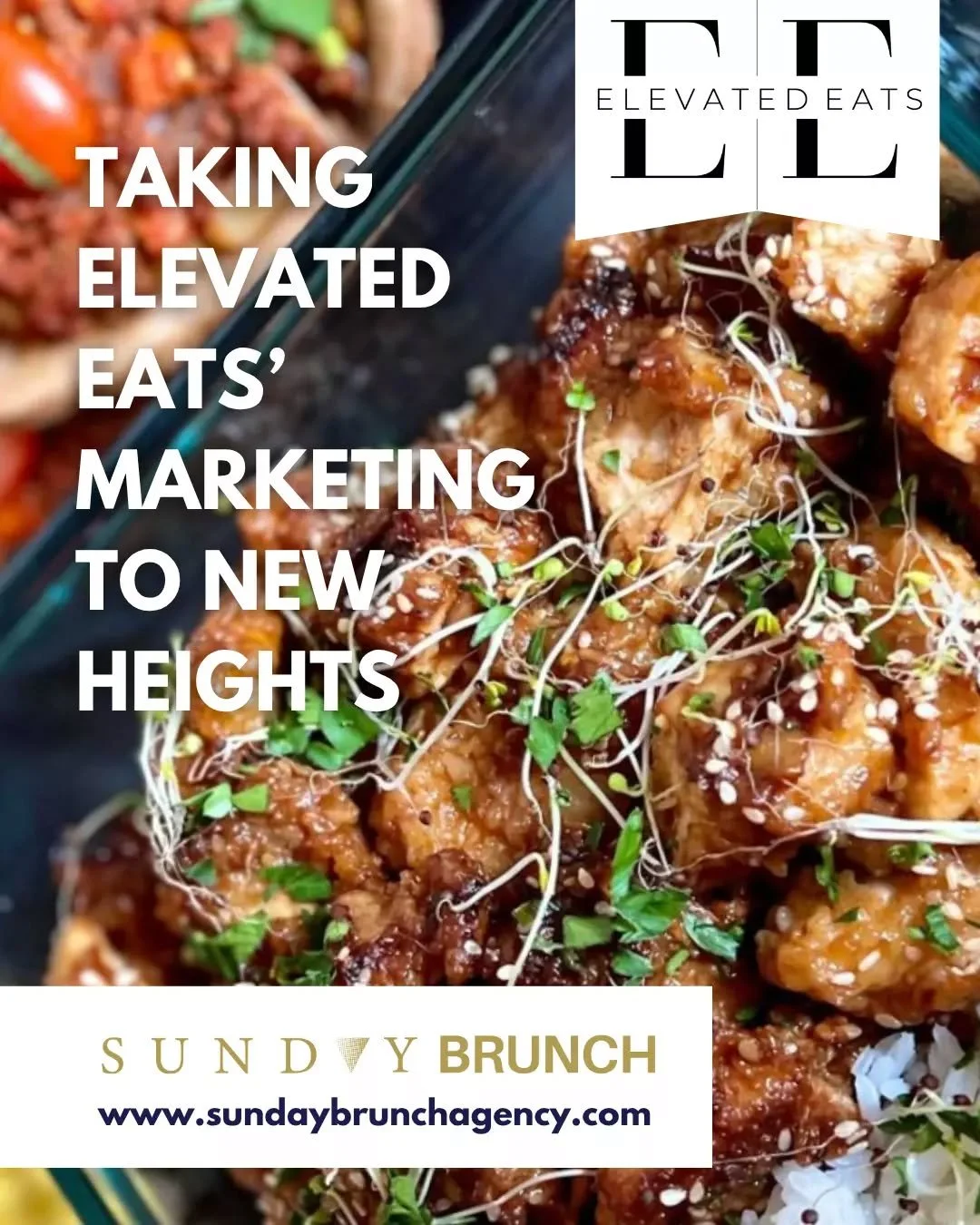 We recently partnered with Elevated Eats, which cooks food for pro athletes, to take their marketing to the next level. 

From refining their brand visuals to creating engaging social media campaigns, we helped showcase their unique culinary experien