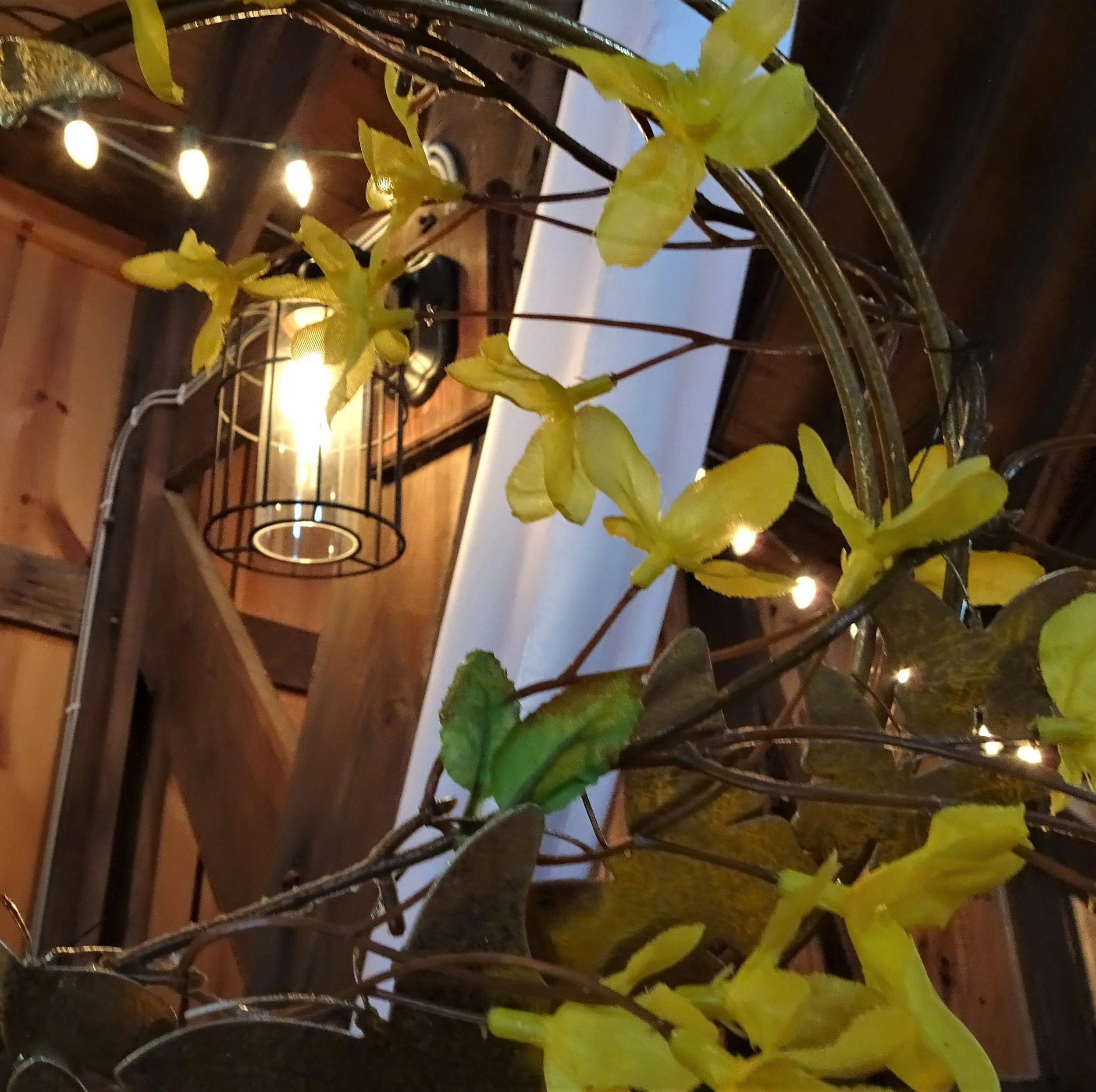 DSC05876.JPG