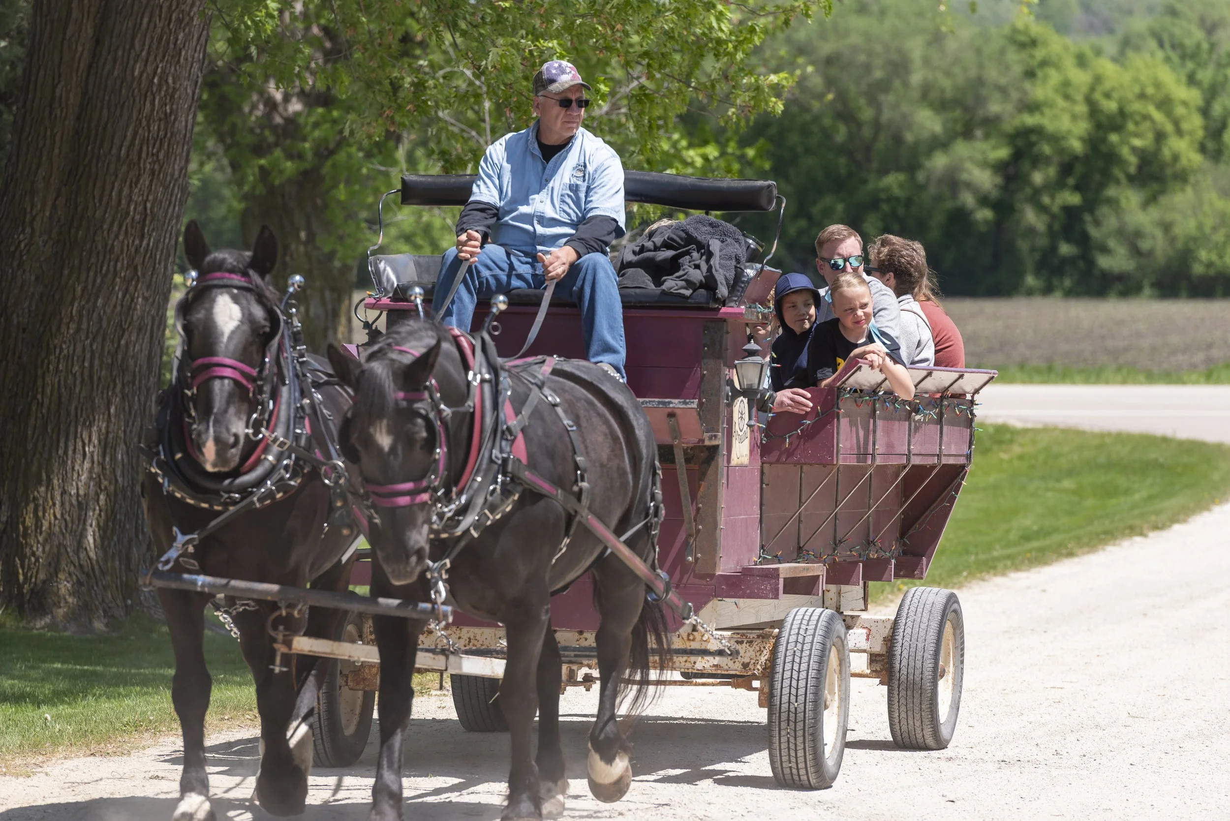 May 2025 Caregivers &amp; Anniversary Celebration