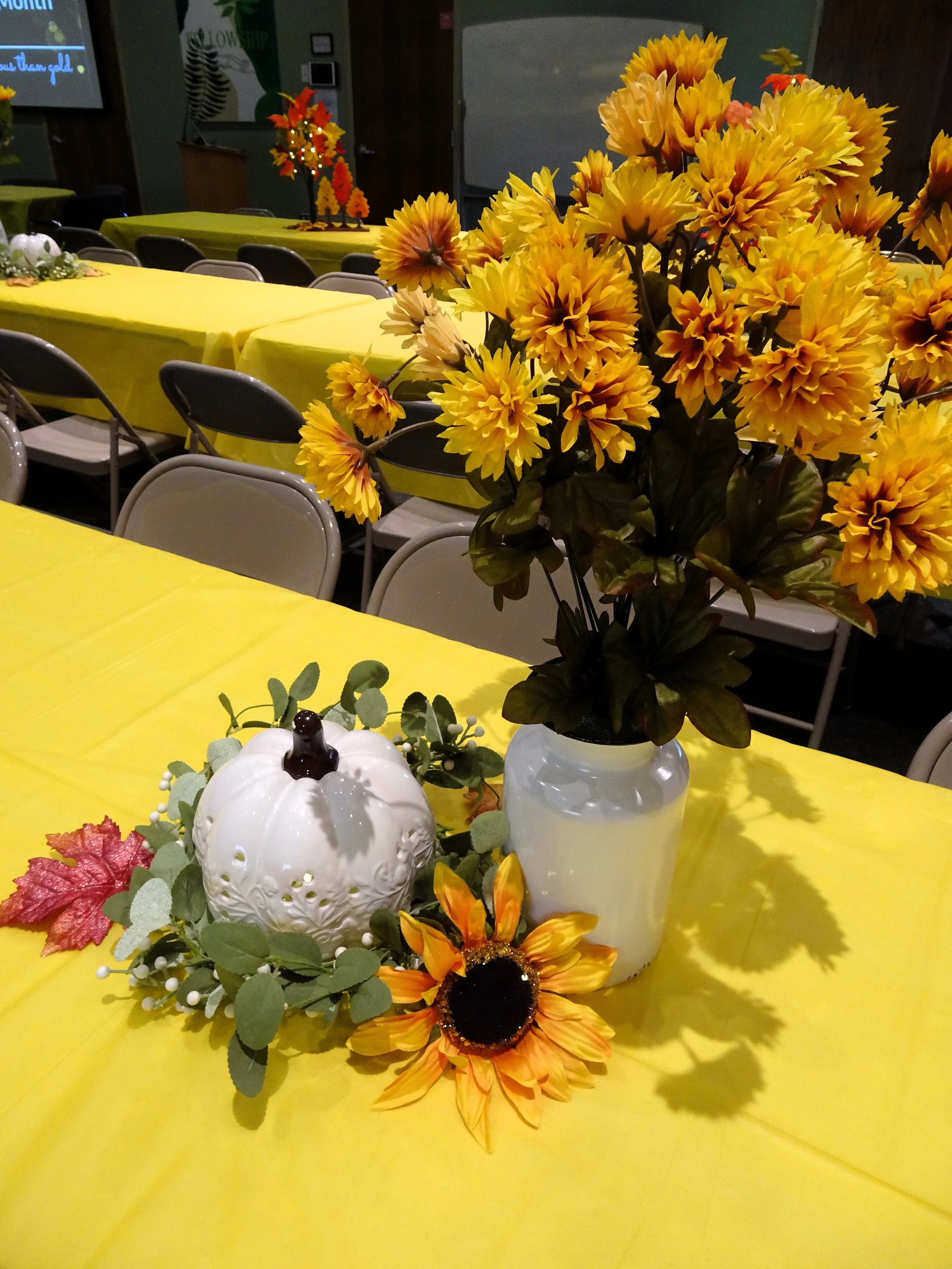 DSC08287.JPG