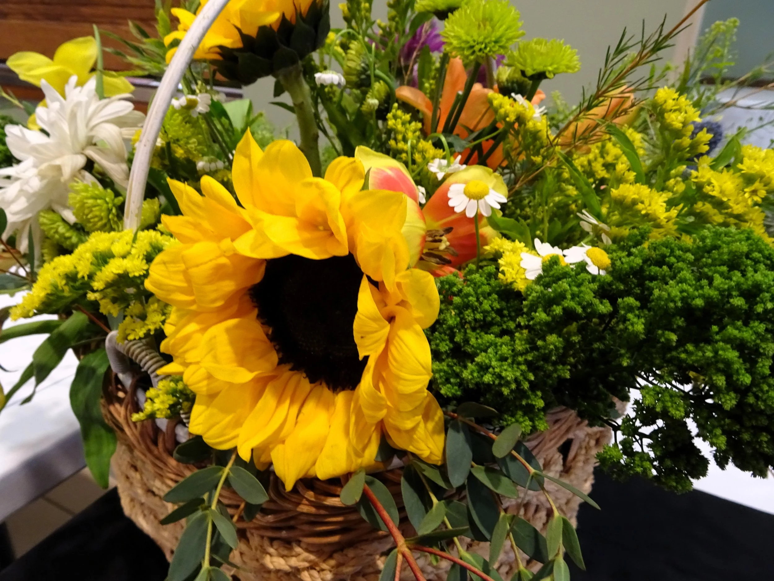 DSC08535.JPG