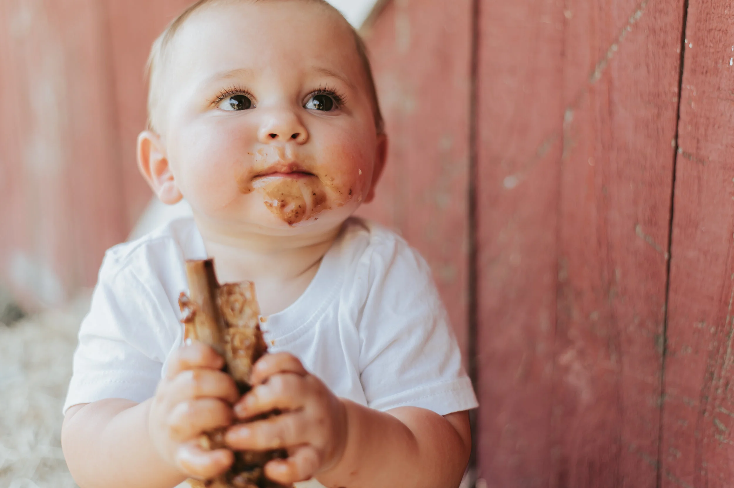 FIRST BIRTHDAY // RIB SMASH! 