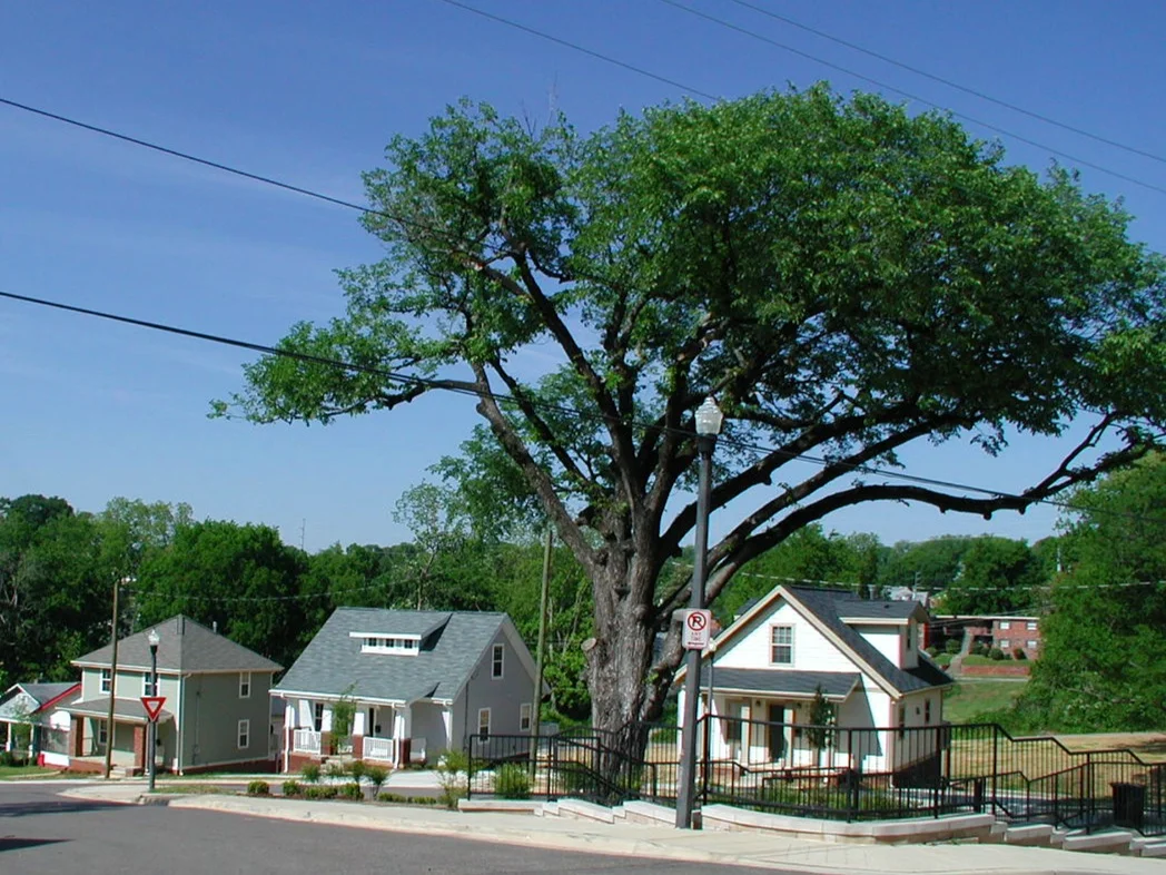 Slide 4.JPG