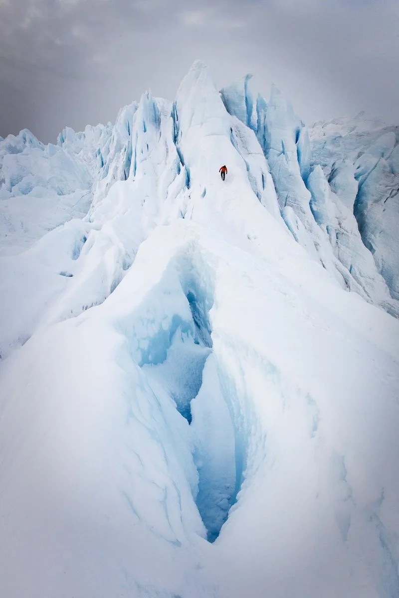 PZ_09082016_01319 (1).jpg