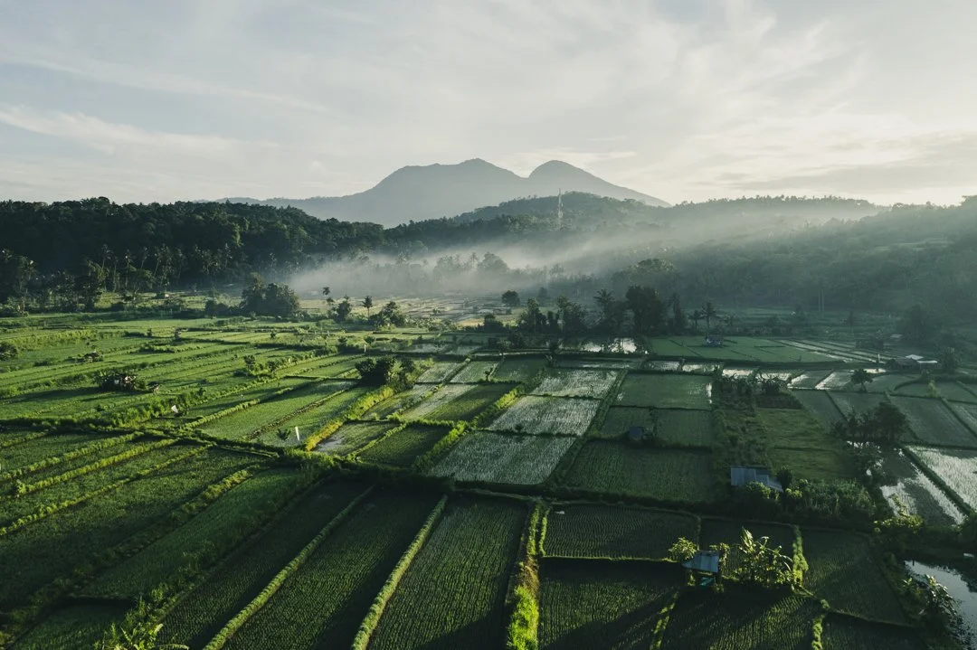 DJI_0180.jpg