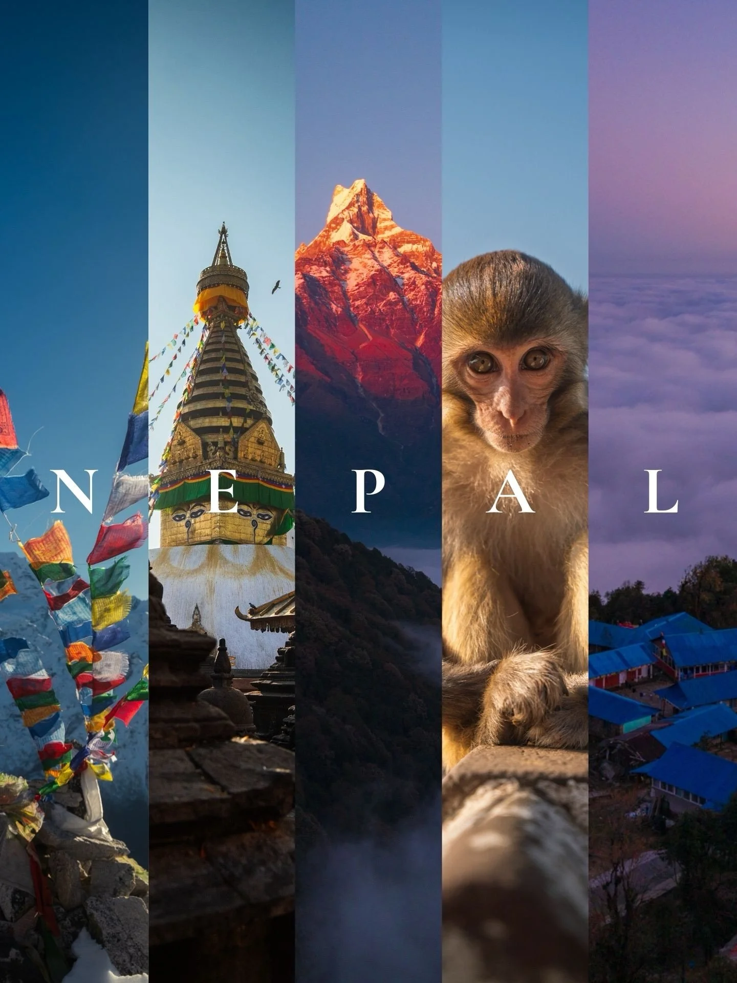🇳🇵I love Nepal 

It&rsquo;s a rugged, chaotic, spiritual, and mystical place. Here are some of my favourite photos from my recent trip to Nepal. I&rsquo;m already itching to go back and explore more of this beautiful country. 

#nepal #kathmandu #l