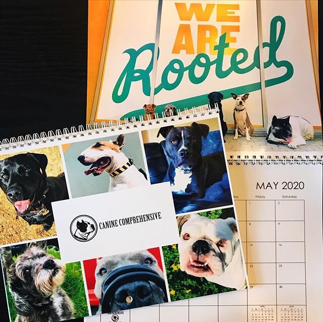 We&rsquo;re fundraising for Oakland At Risk! Their nonprofit supports those especially vulnerable during COVID- the elderly and immune compromised. Your donation gets you a gorgeous calendar (starts in May 2020). Thats 12 months of smiling dog pics! 