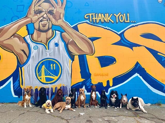 Thank you to all the frontline workers out there!  We know we can beat this thing. #DubNation will be back in action soon!⠀
.⠀
.⠀
.⠀
.⠀
.⠀
.⠀
.⠀
.⠀
.⠀
.⠀
.⠀
.⠀
.⠀
#Warriors #doggydubnation #warriorsdog #dubnation #gswarriors #thecity #oakland #bayare