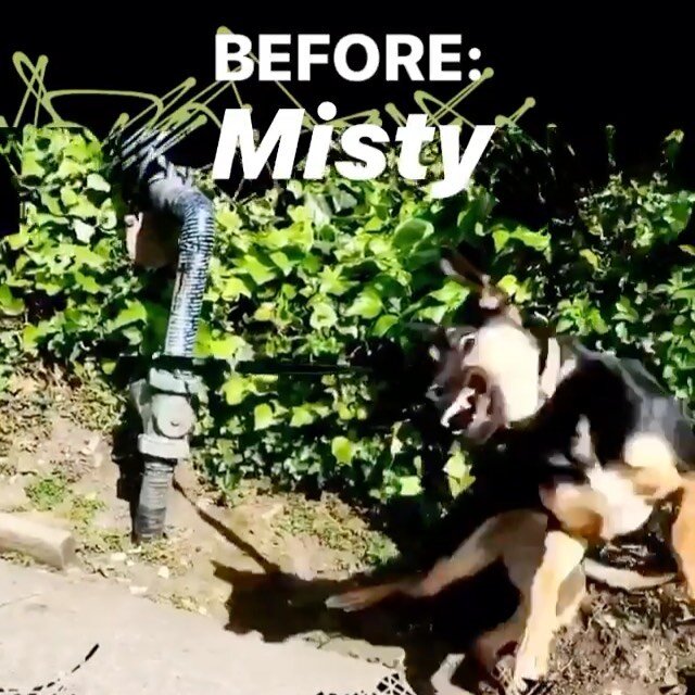 Misty is rocking a new confidence after her five week program! So proud to see this girl getting to enjoy people and the world more.