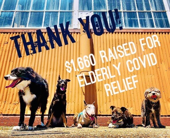 We&rsquo;ve been on a social media hiatus but don&rsquo;t worry- good things are happening! Thanks to everyone who supported our fundraiser. So grateful to be slammed with new dog adoptions and puppy season. We&rsquo;re excited to give back. &hearts;