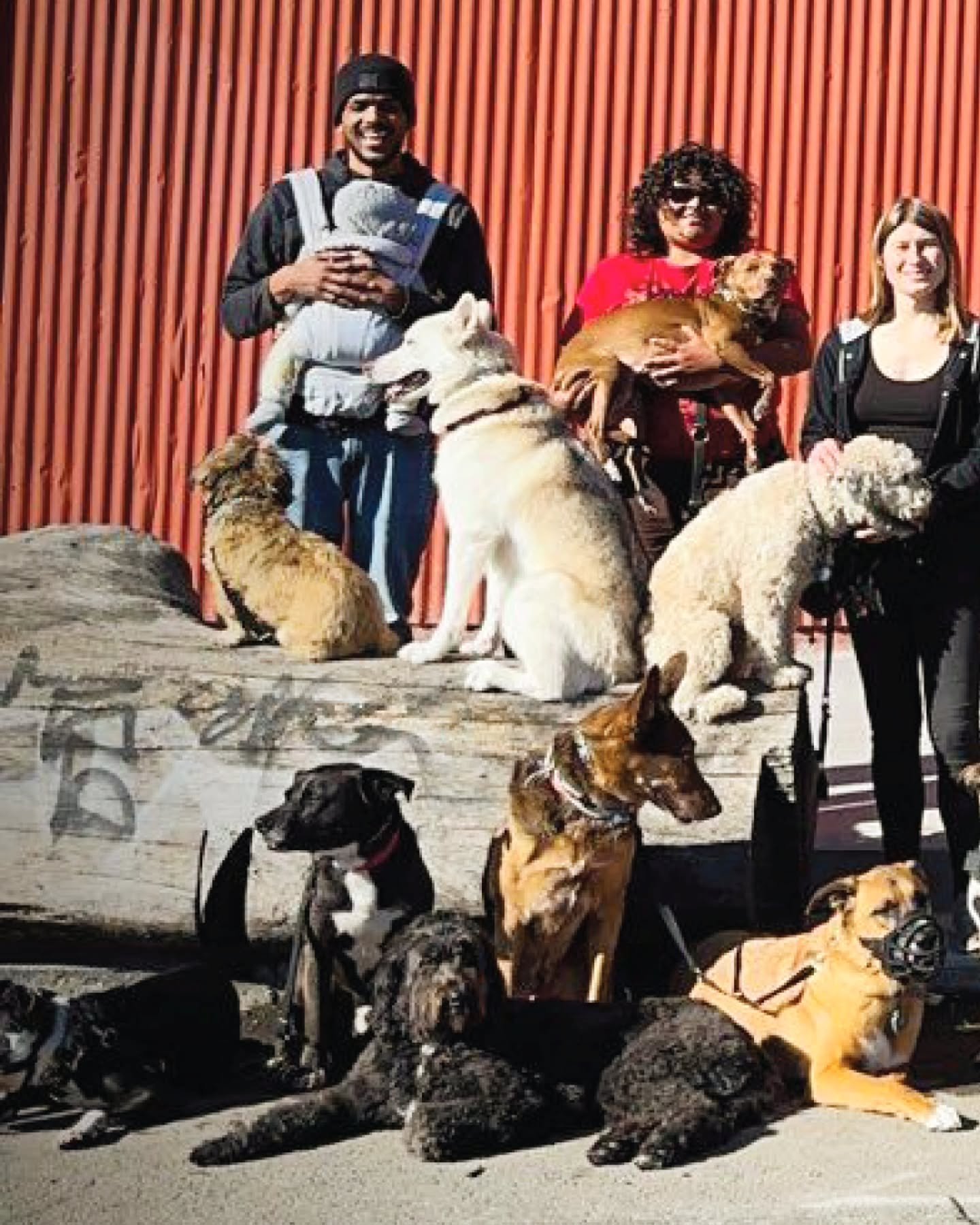 It may not be our sleekest group photo, but it's definitely our biggest and brightest 🐶🤍🖤💙 Staying composed when you're a stage manager for this many dogs is ruff...

A hello from our team and all of our pack pups, meeting up for our annual Super