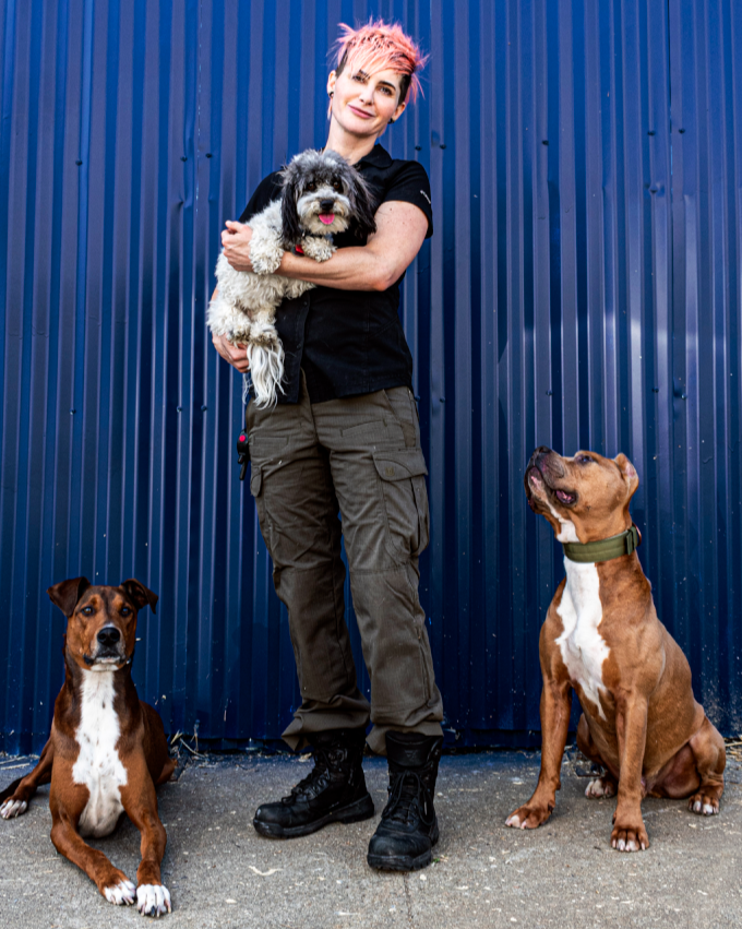 Woman with pink hair holding a small black and white dog, flanked by two large brown dogs, standing against a blue metal wall.