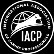 Logo of the International Association of Canine Professionals (IACP), featuring a stylized dog and globe.