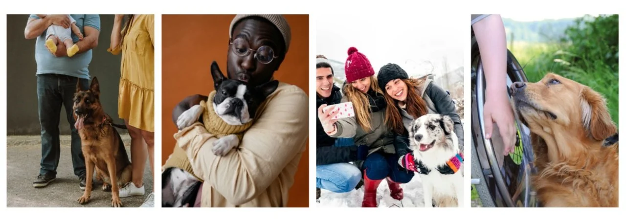 Find the Right Dog — Canine Comprehensive