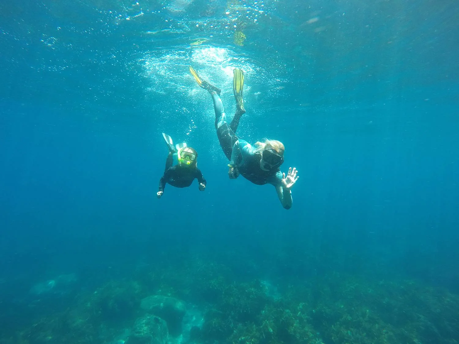 SnorkellingDiv.jpg