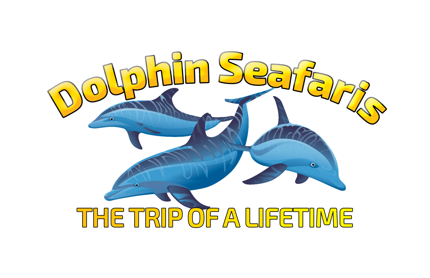 Dolphin Seafaris