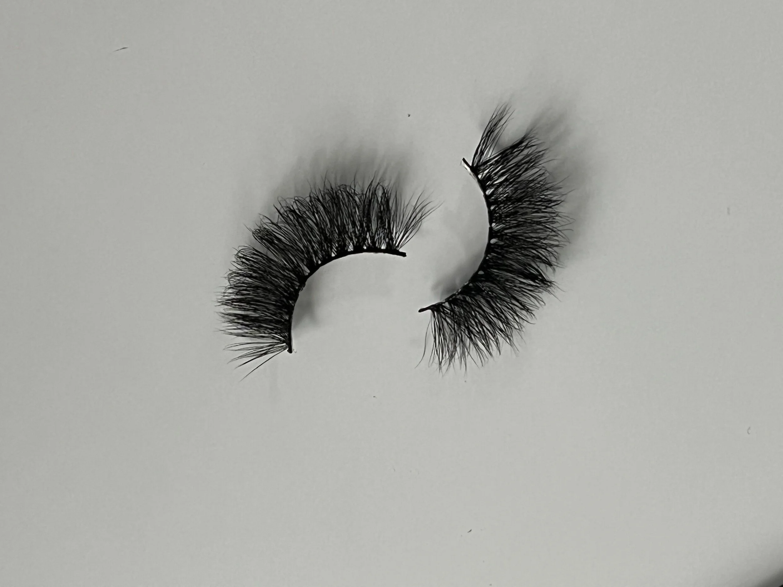 67286822-E7B6-42CC-84D3-3437F2917784