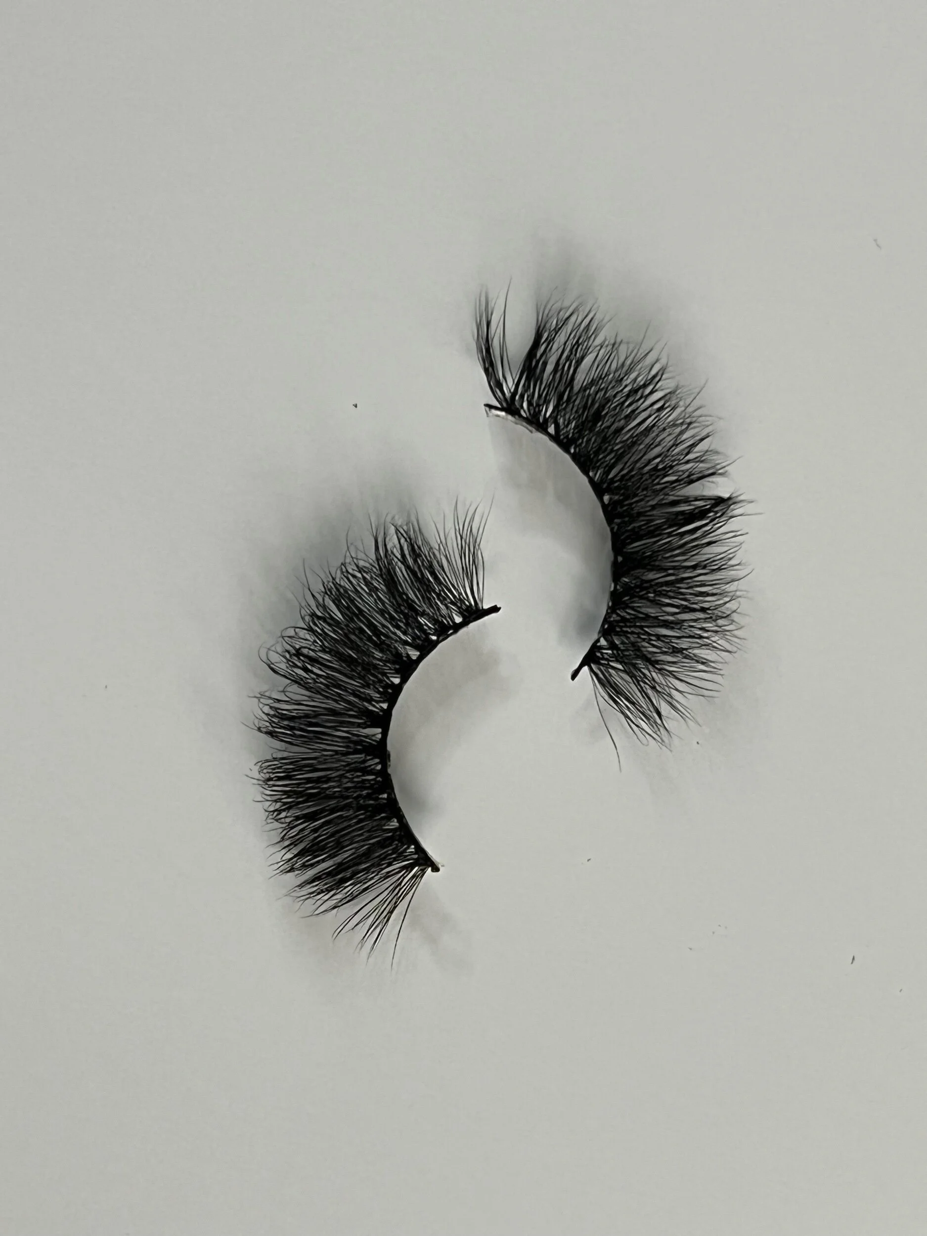 55630939-8322-4C5B-B7DA-187D25698B12