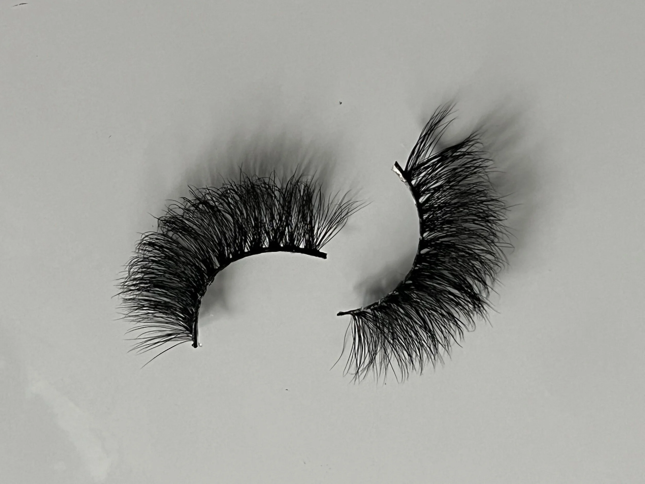 825DC2F1-B9A1-4935-997E-72EC4267A11C