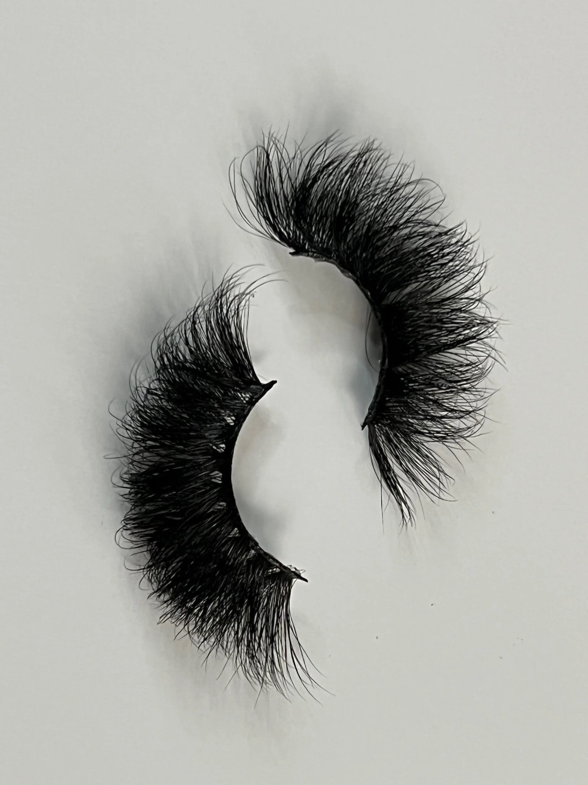 BEB53B3D-89E6-441B-88B4-D4438222FC19