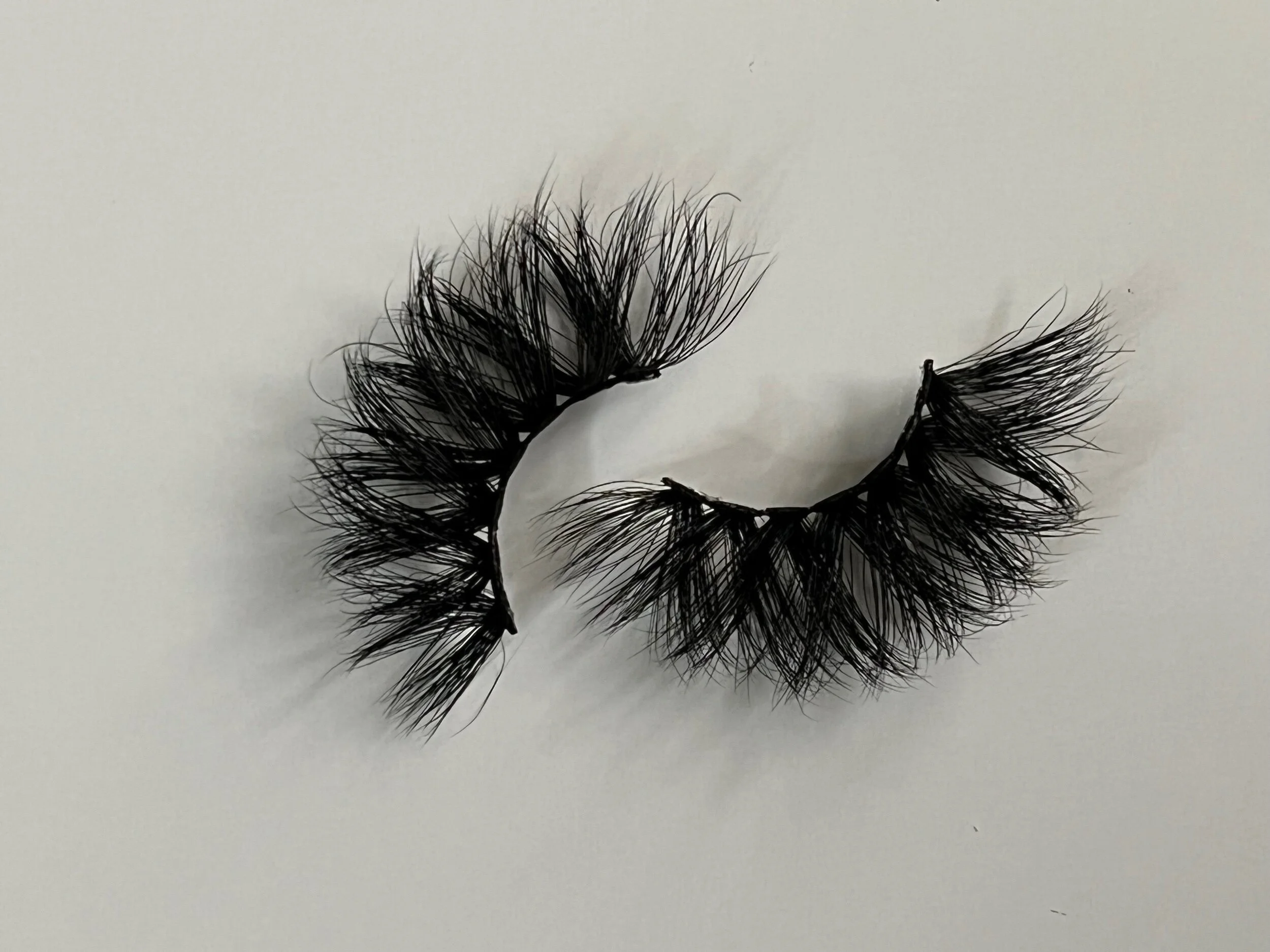 A841F6B1-BEC3-4C2B-A0F1-B7BBB7FA8938