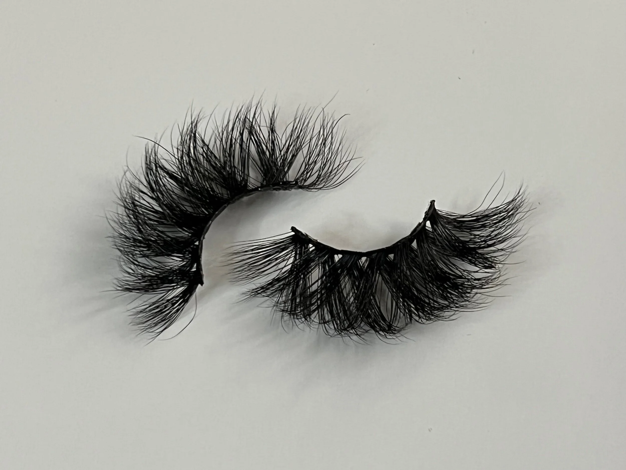 A86B5F06-86DC-411E-8179-F59BC6E4EB6B