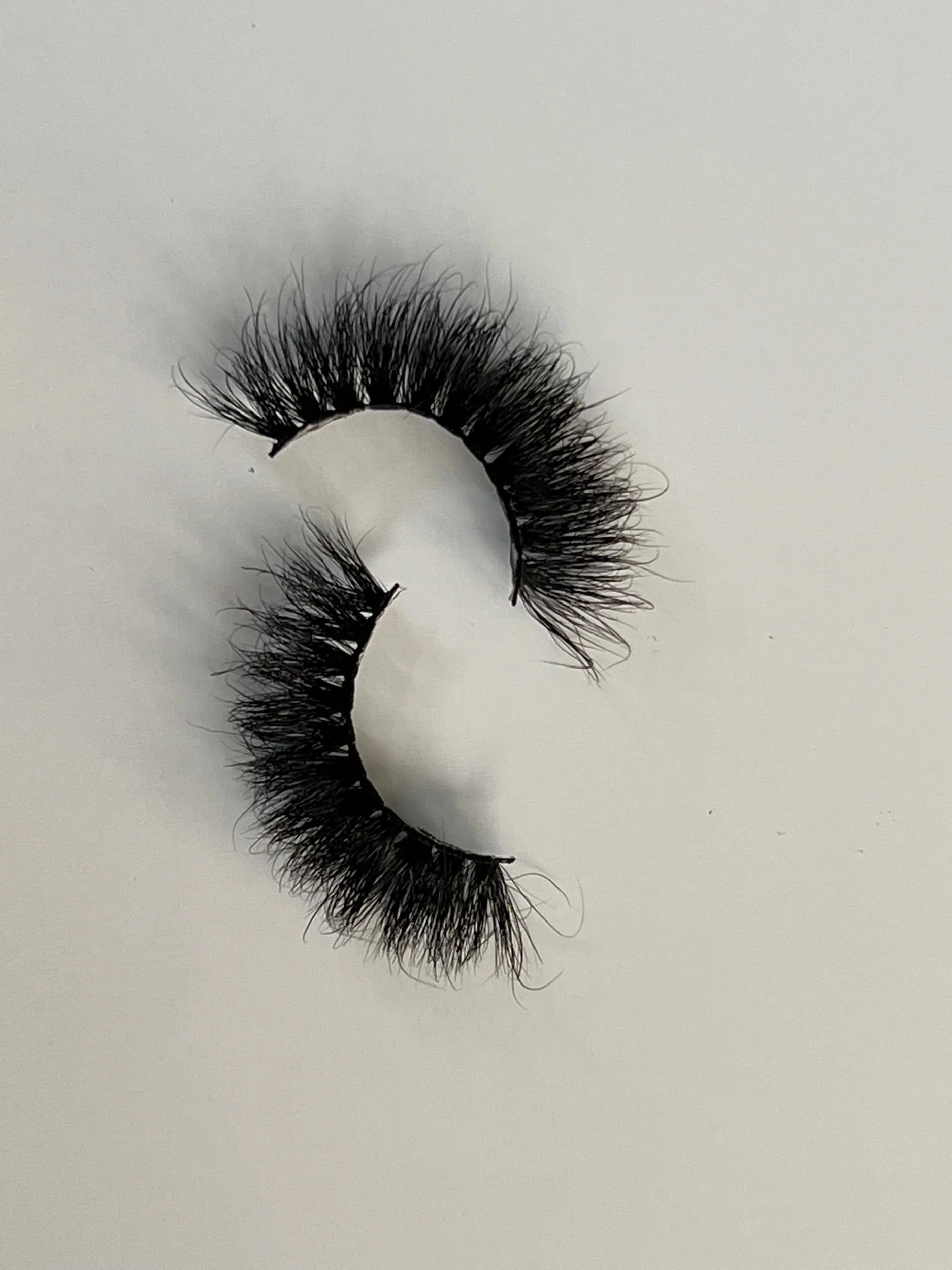 09CD3382-CAE1-4351-89DD-737139DC688E