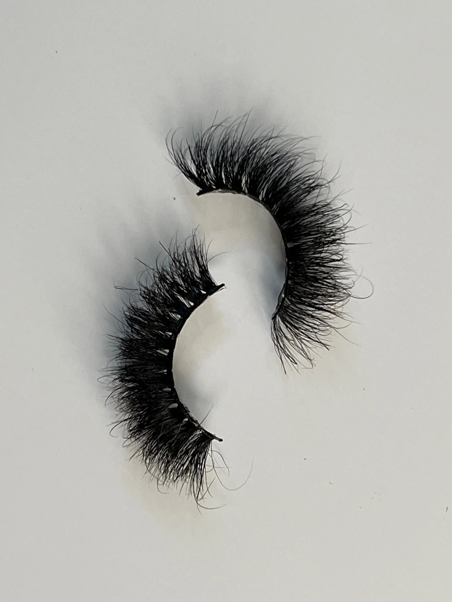 528CAA40-384E-4CDE-81EE-FC8F3BA9278F