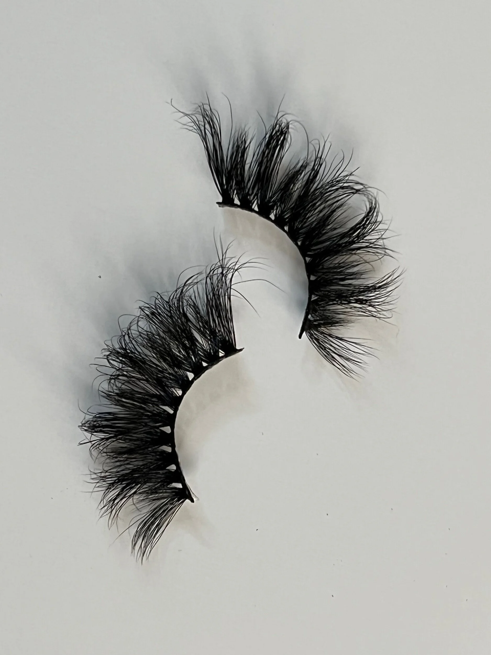 E03A98FA-6E3D-4772-B725-36C1CE305C69