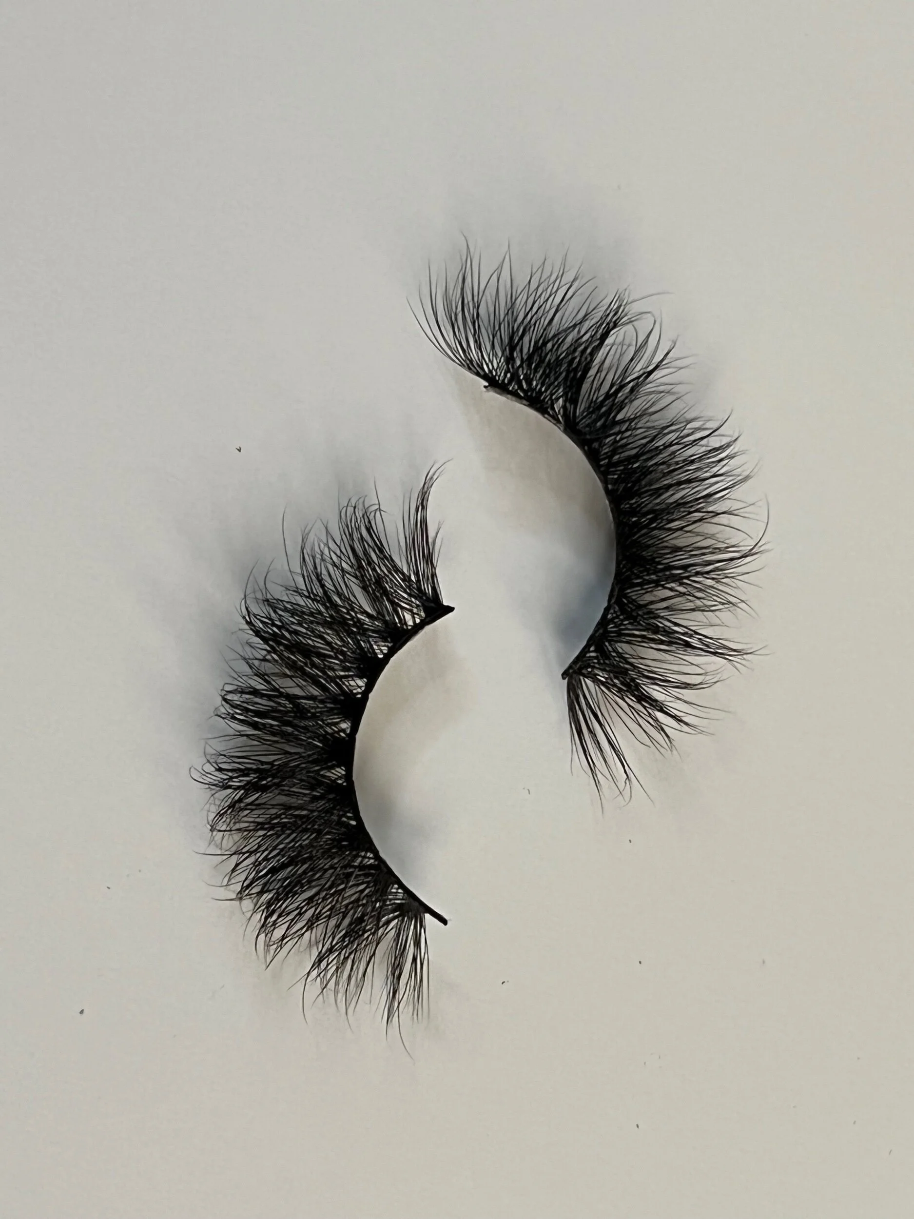 DE773DED-E4FE-4C15-B932-E76F185D00D7