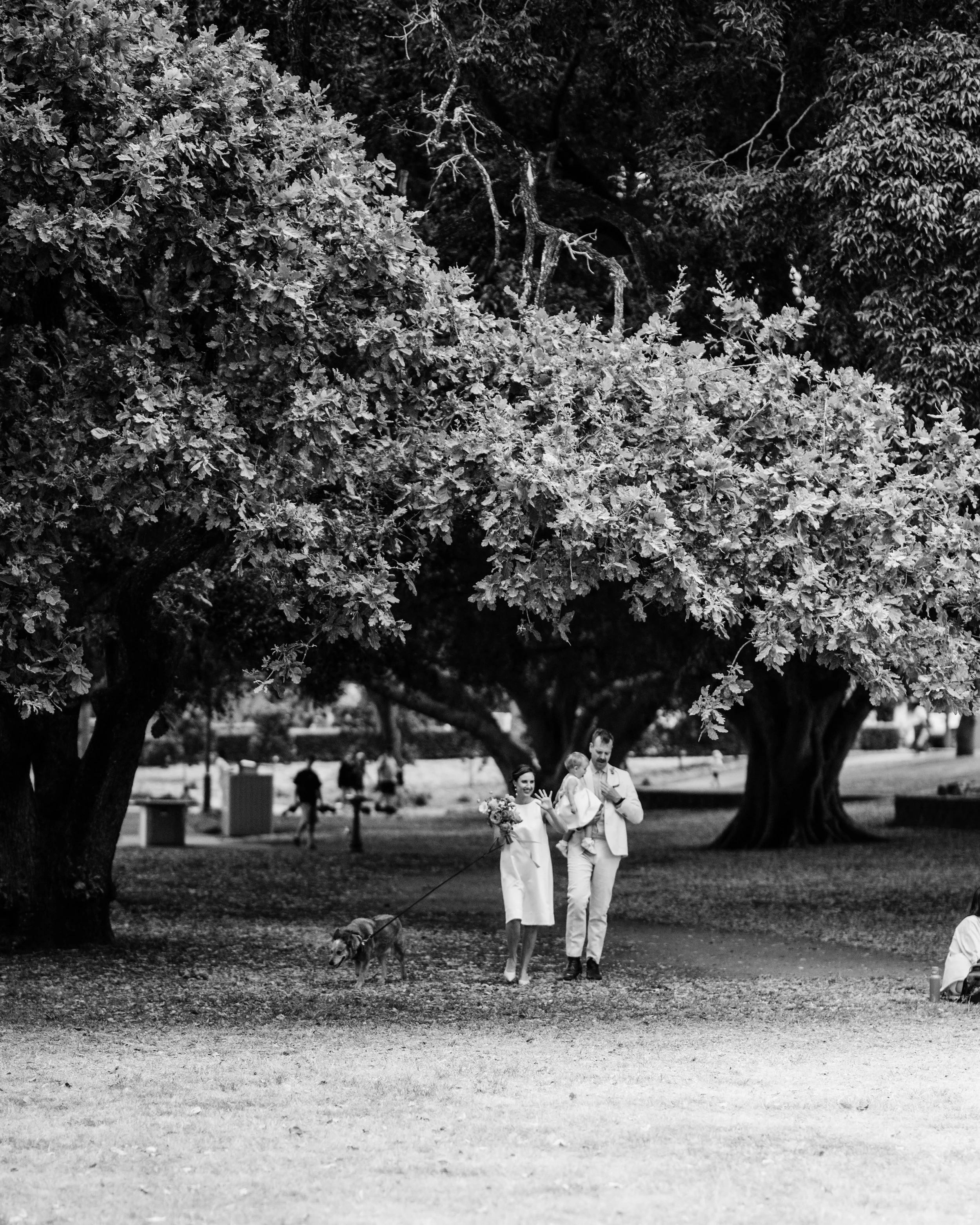 untitled-4595.jpg