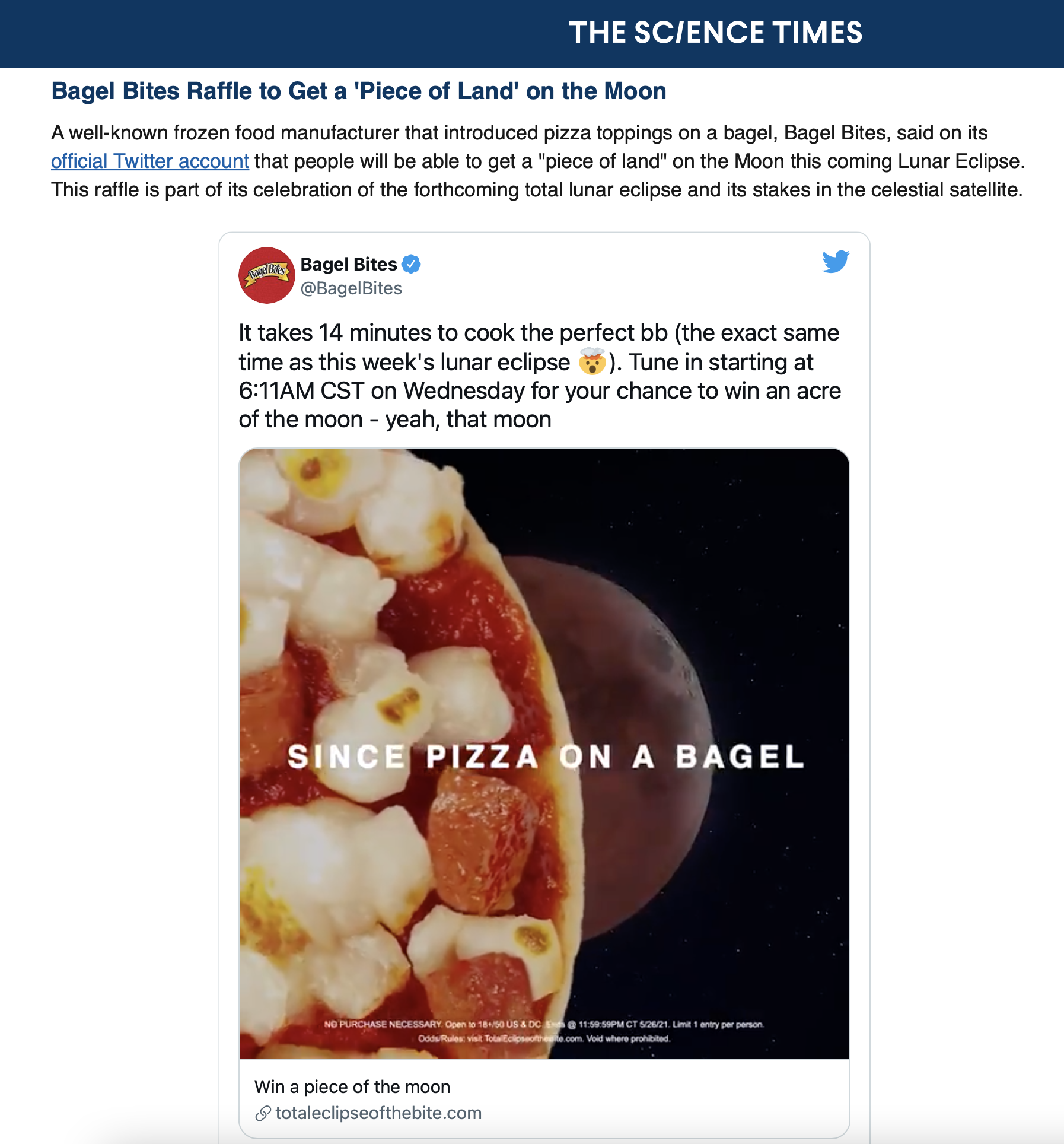 Bagel Bite — Spencer Hall