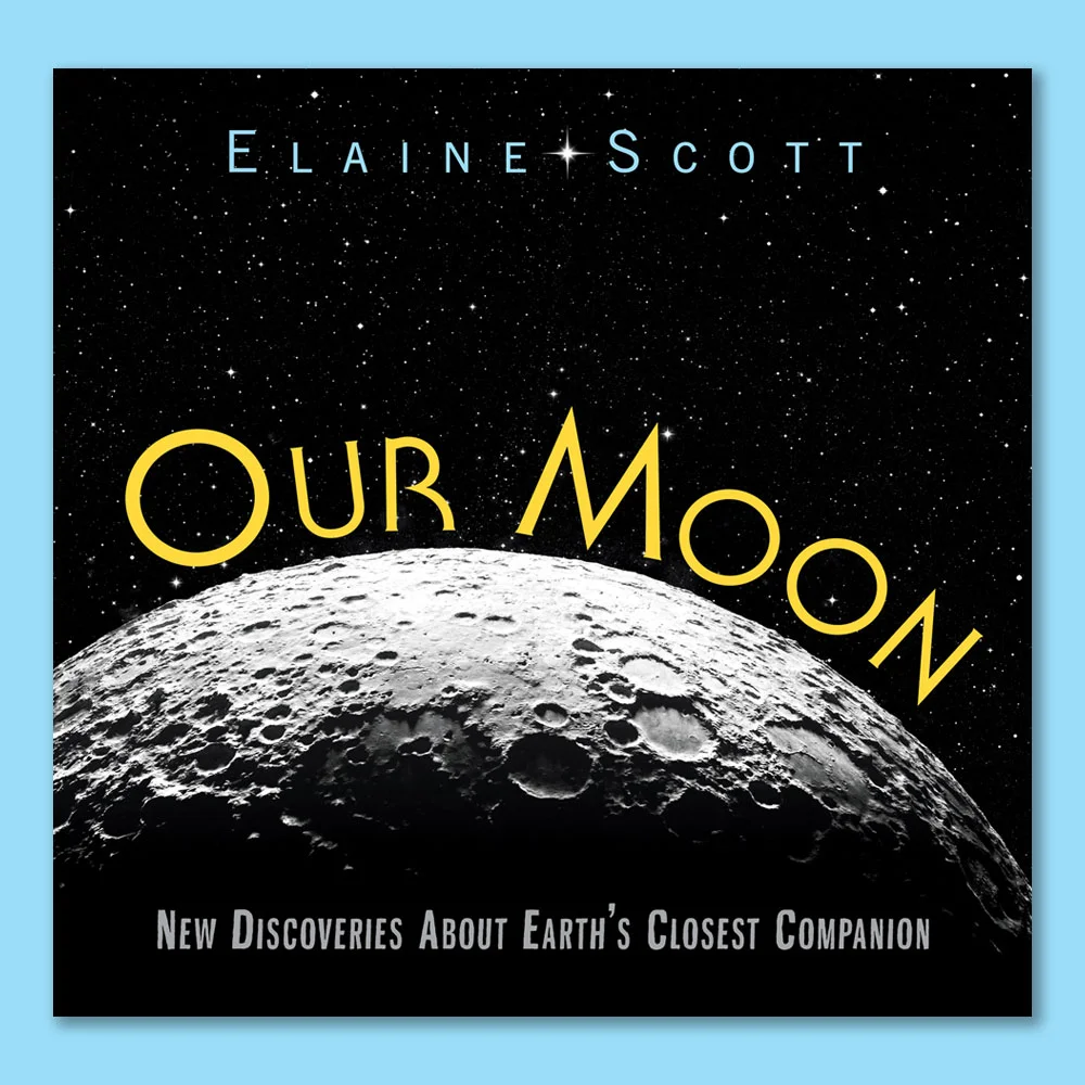 portfolio15.jpg