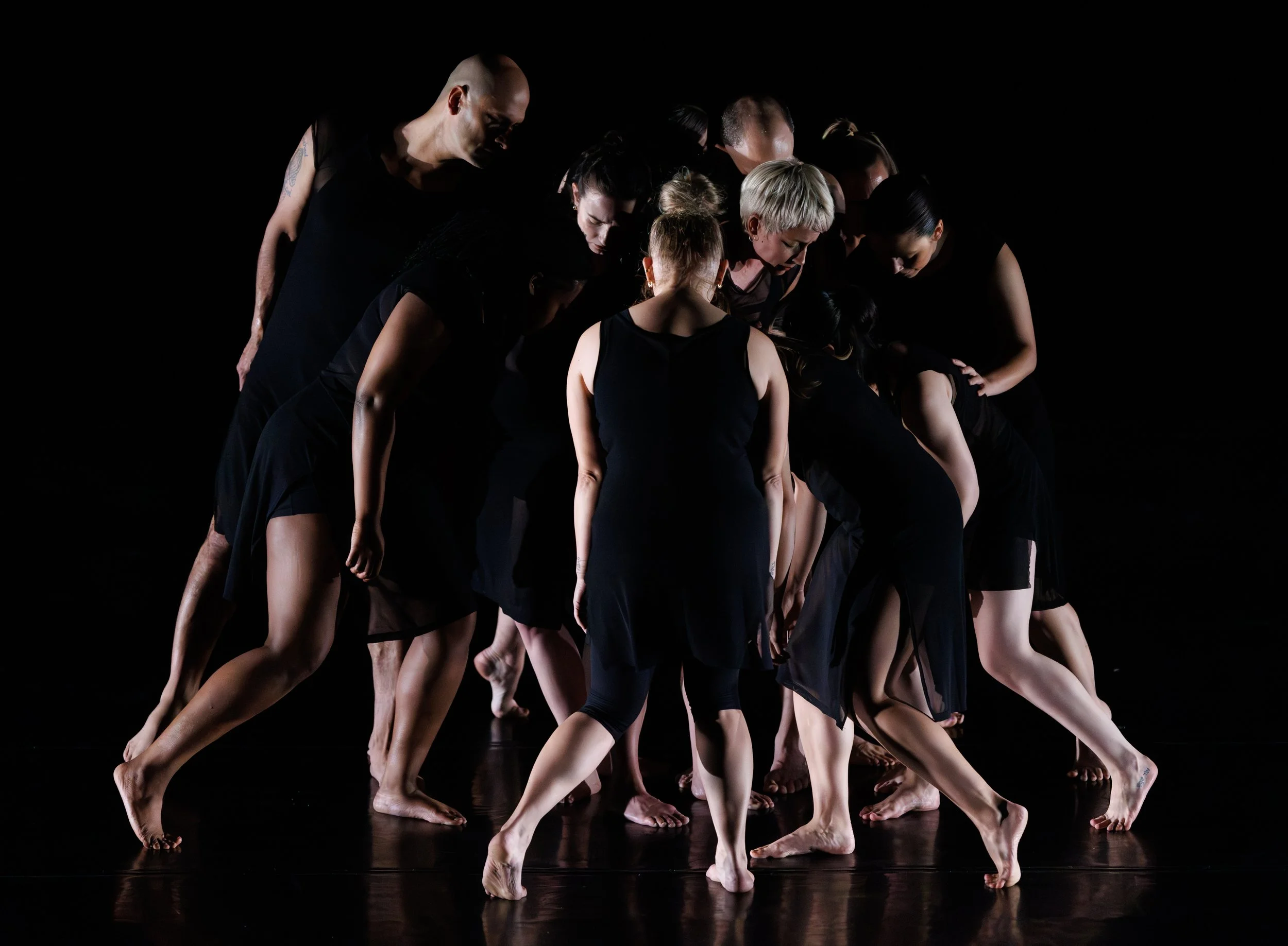 Thirst Gallery — Black Box Dance Theatre