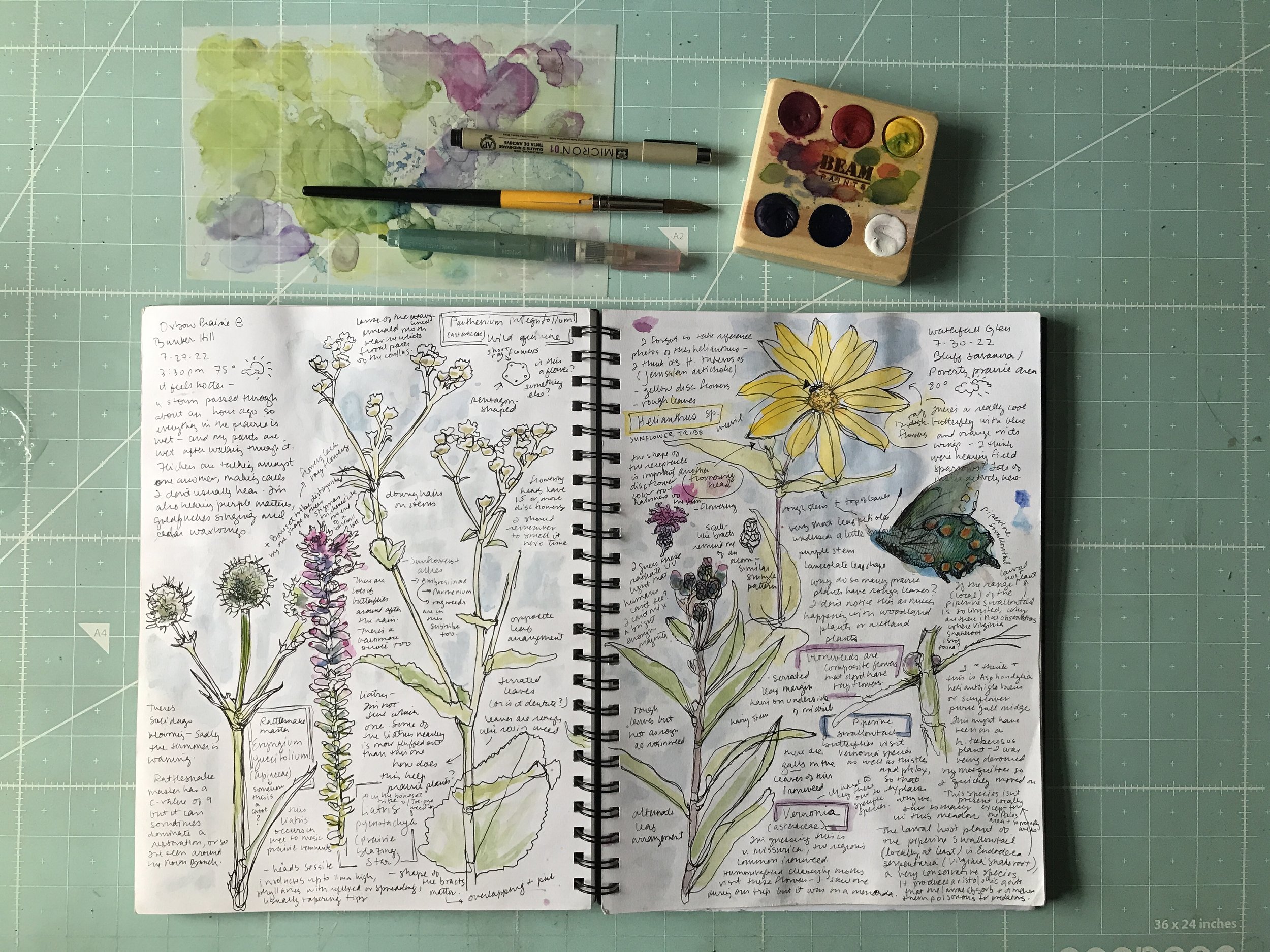 Different Sketchbook Styles - Methods For Observing And Drawing In Your  Nature Journal