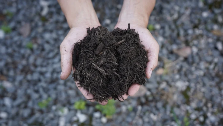 Mulch Delivery Near Me | Organic Recycling