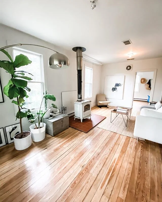 &bull;The most comfortable space&bull; the light, the plants, the furniture ✨🌿🙏🏻 #redcottagecozy #redcottageclean #apluscleaners #apluscleanersny #catskillhouses #upstatenycleaners #cleancleancleancleanclean #redcottageweekend  #redcottageinc #cat