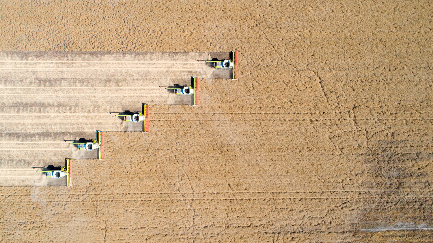 DJI_0080.jpg